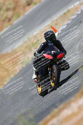 media/Jul-08-2023-2WTD (Sat) [[c8c0d2e149]]/B Group/1220pm (Turn 5)/